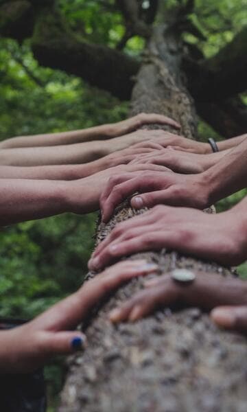 PARTNERSHIPS FOR THE GOALS